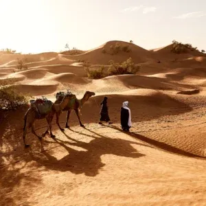 9 Days Travel program Atlas East South Moroccan Sahara